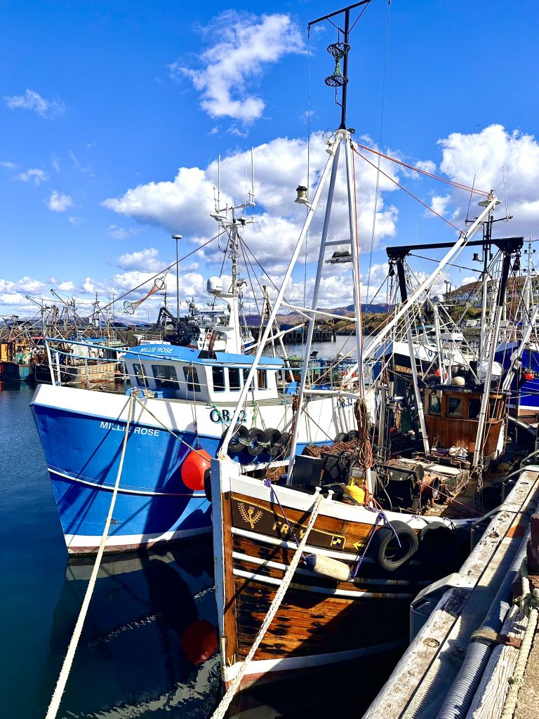 der Hafen von Mallaig, von wo aus auch die Fährverbindungen abfahren.